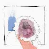 Dancing in the Trunk