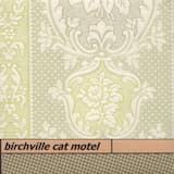 These Darkening Orbits