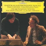 Concerto for Piano and Orchestra no. 1: I. Allegro moderato - Allegro