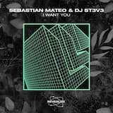 I Want You (extended mix)