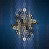 What Shall We Do Now?