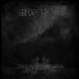 In the Black Forest at Sunset