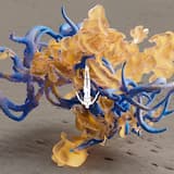 Night After Night (Camelphat Remix)