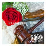 No Apologies (remix)
