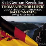 Sie werden euch in den Bann tun, BWV 44: I. "Sie werden euch in den Bann tun"