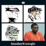 bloodborN orangEs