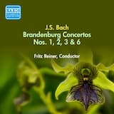 Brandenburg Concerto no. 1 in F major, BWV 1046: I. [Allegro]