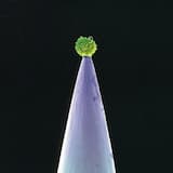 The Rhythm of the Heat