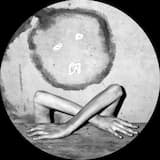 303: The Story of How the Soul Shapes the Notes..