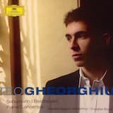 Concerto for Piano and Orchestra in A minor, Op. 54: I. Allegro affettuoso