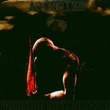 Paranoid Destruction (original version)