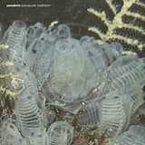 Slipping Into the Deep