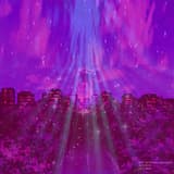 ダンクス's Card shop