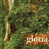 Introït / Suite souveraine / L'heure de pointe / Le recueillement / Déambulation d'été