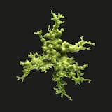 Our Last Night (Radio Edit)