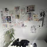 holy (water earth metal fire wood)