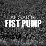 Fist Pump - Radio Mix