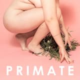 Primate (Raw demo)