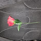 Dollar Tree Rose on Bookbag (12:04)