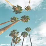 MoneyAndArt - Stretch It [Alternative Island Edit] (Prod.By MoneyAndArt) (1)