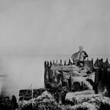 Rinse (repeat repeat)