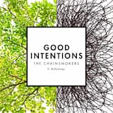 Good Intentions