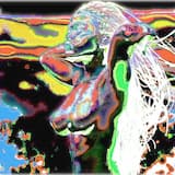 The Multiversal Level Beauty Of