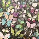 Бабочки (radio edit)