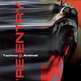 Flight of the Hermaphrodite