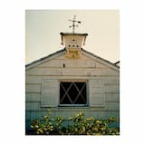 i just wanna be here