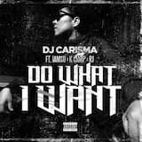 Do What I Want (Explicit)