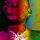 Covered in Bruises and Splashed in Blood.