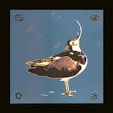 As We Unfold in the Skies