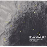 Draumkvedet 1