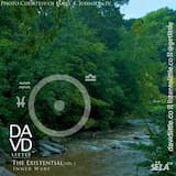 Mr. Pheonix Lazarus Man