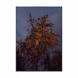 Experiencer (Shuray & Walle remix)