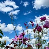 Romantic Piano Solo (Main)