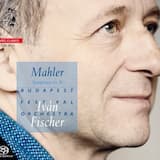 Symphony no. 9: I. Andante comodo