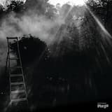 Animal électrique 2