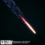 Terminal Velocity (extended DJ version)