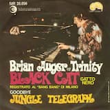 Black Cat (Gatto Nero)