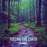 Feeling the Earth
