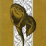 The Light In My Little Girl's Eyes