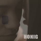 HONIG (edit)
