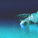 We Stood in Fields of Light