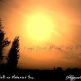 21 Years of Urban Rain