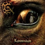 Het spook van de Leiffartshof