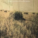 Fragile Movements in Slow Motion