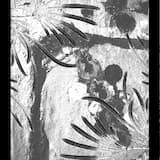 βαλτικη ὑστέρα