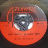 The Lonely Willow Tree